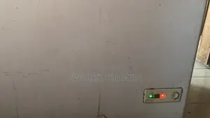 2 Door Deep Freezer
