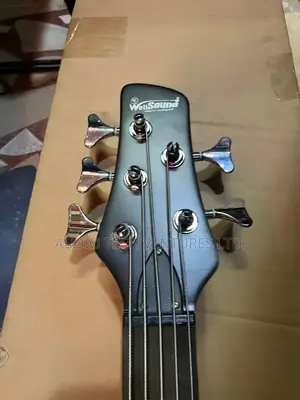 Well Sound Active 5 Strings Bass Guitar