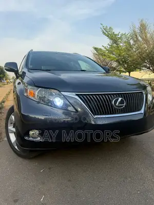 Lexus RX 2010 Gray