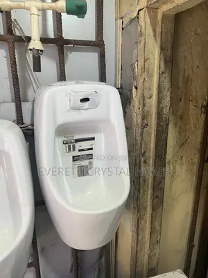 Senior Urinary
