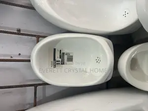 Urinal Bowl