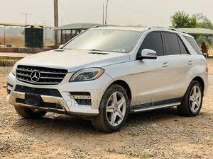 Mercedes-Benz M Class 2014 Silver