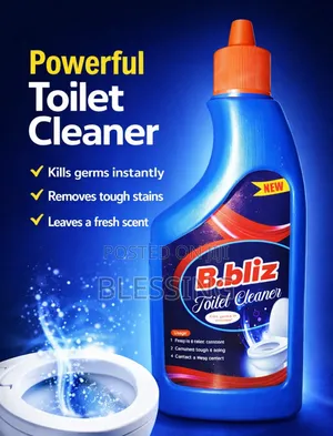 B.Bliz Toilet Cleaner