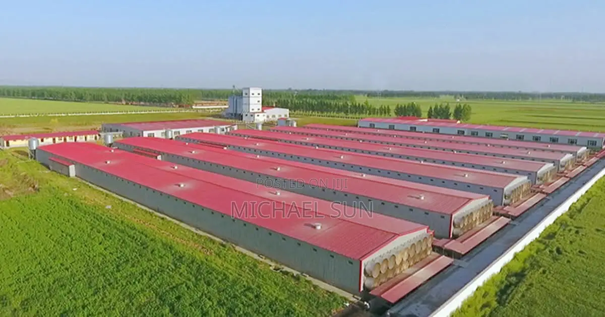 Poultry Battery Cage Chicken Cage