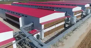 Poultry Battery Cage Chicken Cage