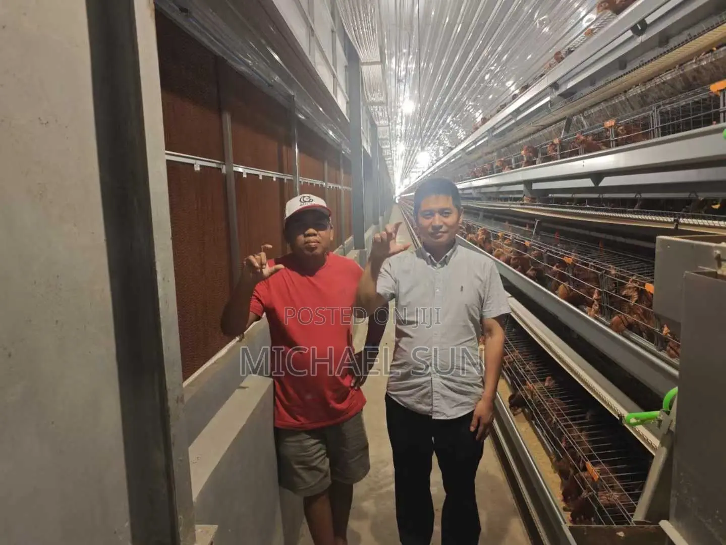 Poultry Battery Cage Chicken Cage