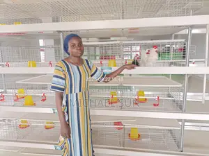 Poultry Battery Cage Chicken Cage