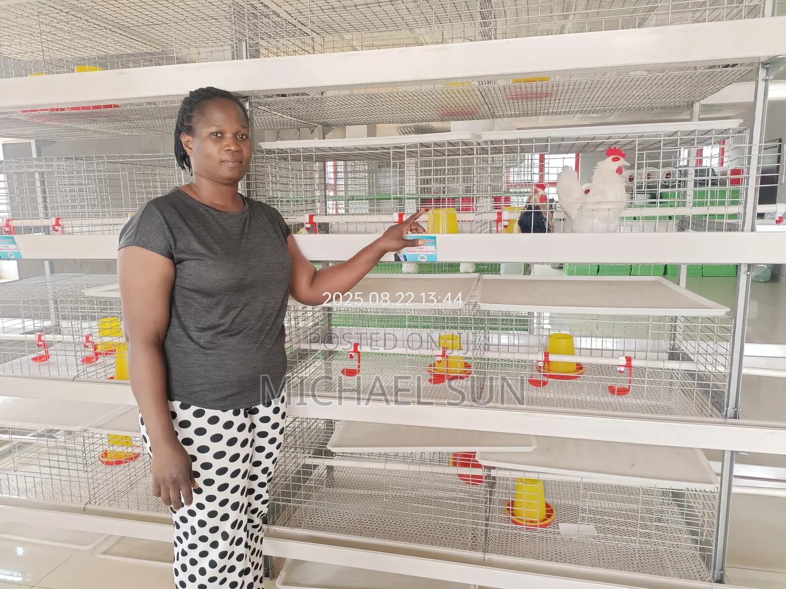 Poultry Battery Cage Chicken Cage