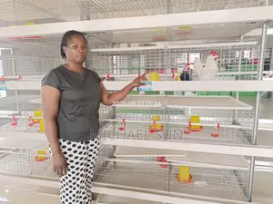 Poultry Battery Cage Chicken Cage