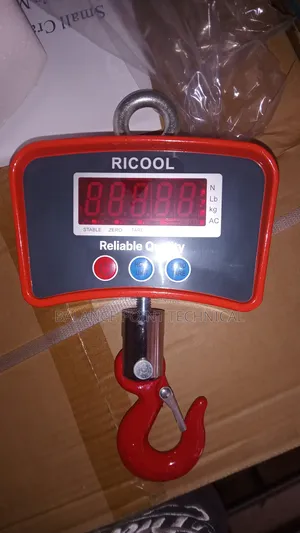 500kg Crane Scale