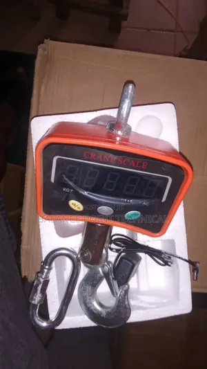 1000kg Crane Scale