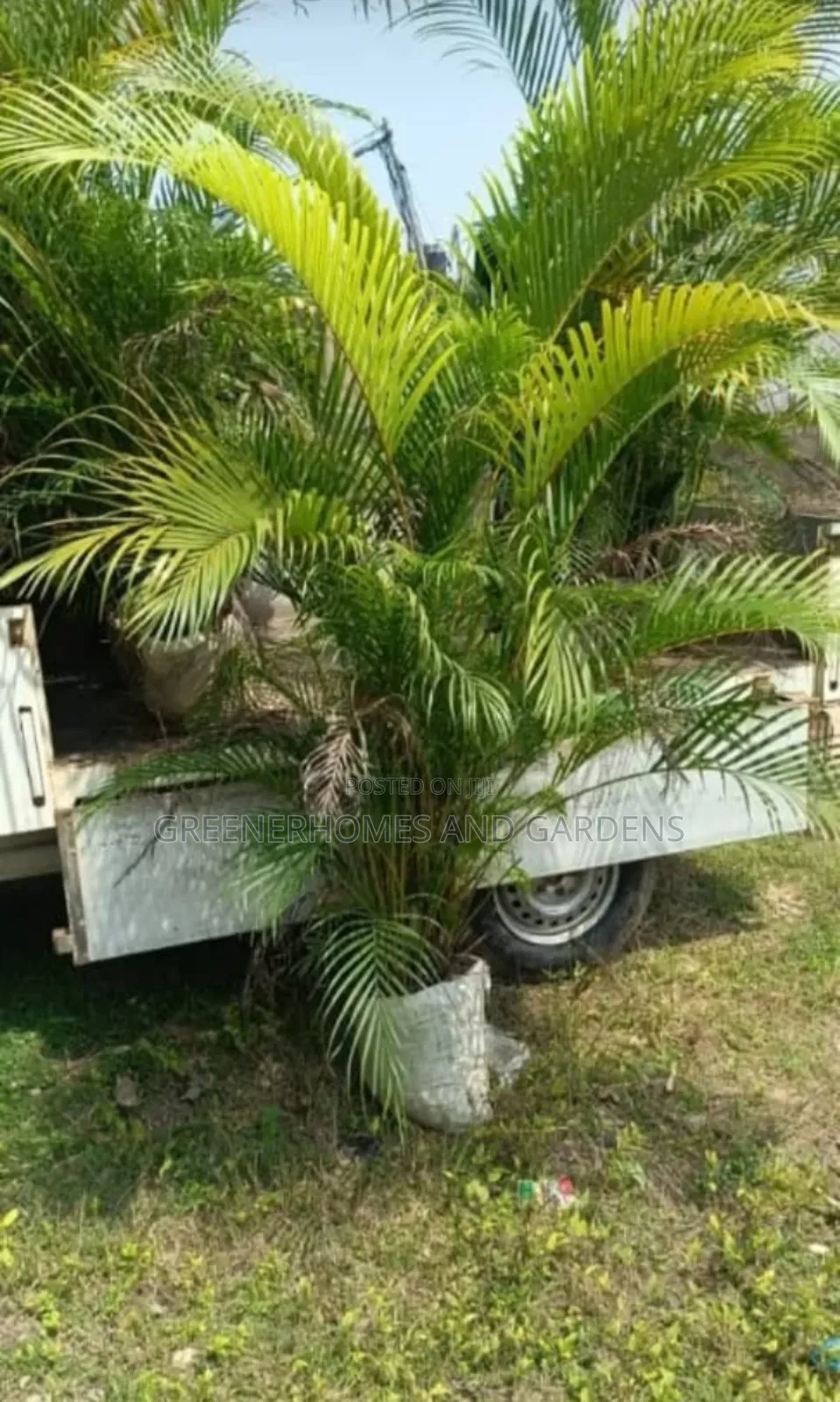 Plants Supply