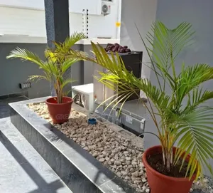 Plants Supply