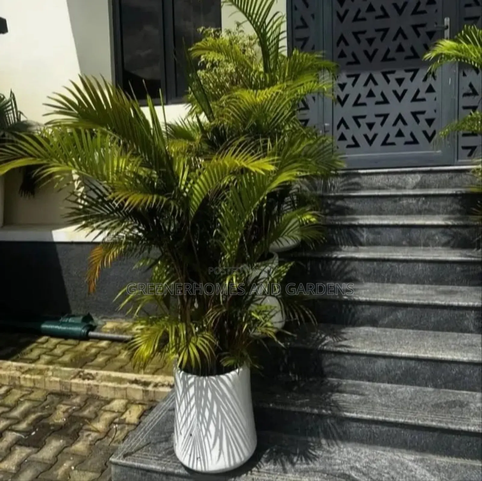 Plants Supply