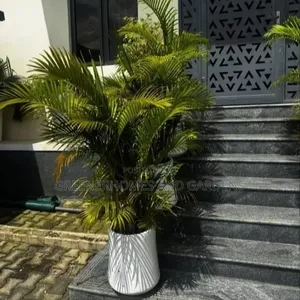 Plants Supply