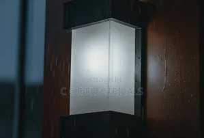 Outdoor Security Lights