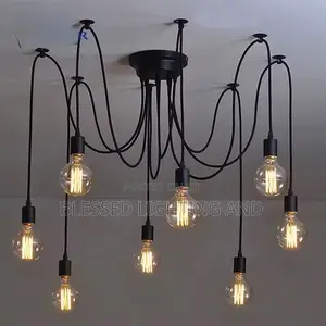 Vin Black Cord Multiple Light Sources Sample Pendant for Living Ro