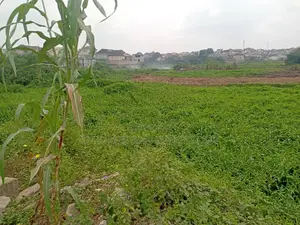 Landed Property