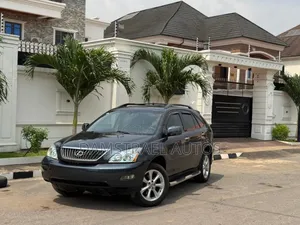 Lexus RX 2008 Gray