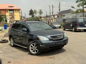 Lexus RX 2008 Gray