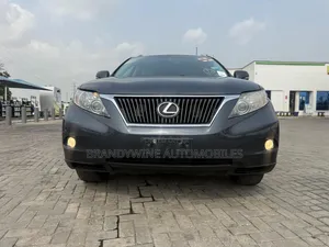 Lexus RX 350 2010 Gray