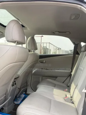 Lexus RX 350 2010 Gray