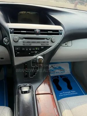 Lexus RX 350 2010 Gray