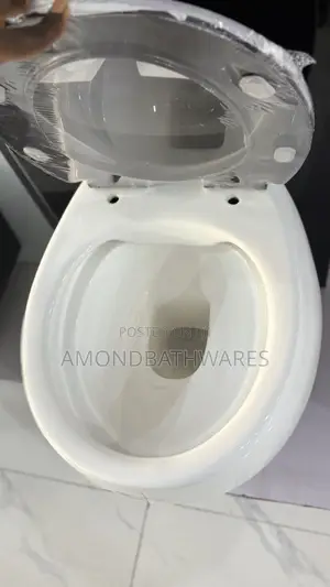 Black Tank Monolith Tank White Wc