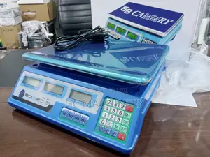 Digital Scale