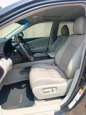 Lexus RX 350 2010 Gray