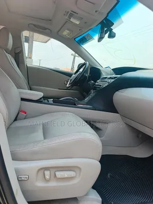 Lexus RX 350 2010 Gray
