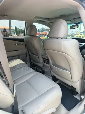 Lexus RX 350 2010 Gray