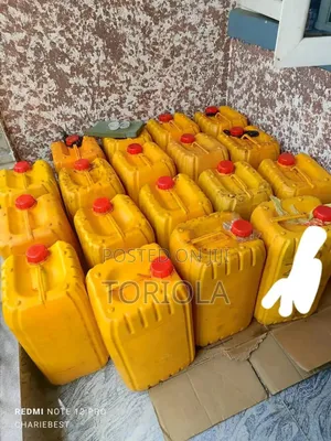 Fresh Palm Oil — Pre-Order Now at Mo’S Foodiehub