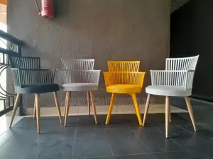 Leisure Chair