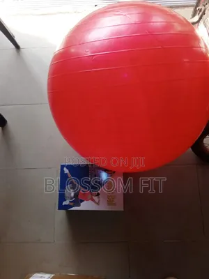 Gym Ball B
