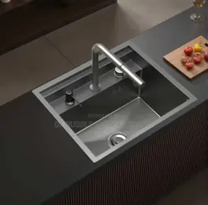 Executive Kitchen Sink With Faucet