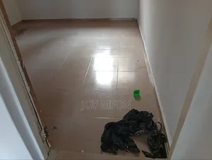 Cleaning Services