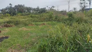 2 Plot of Land