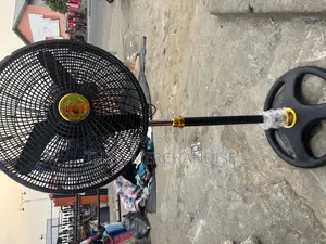 Standing Fan