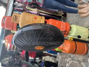 Standing Fan