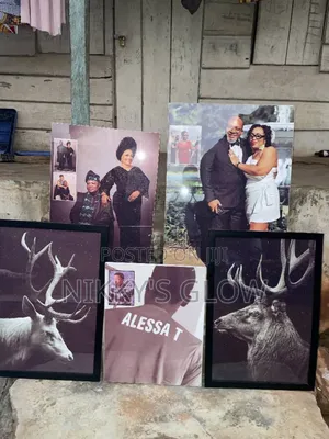 Acrylic Frameless Portraits