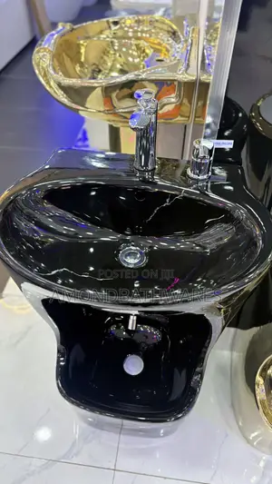 Black Ablution Basin