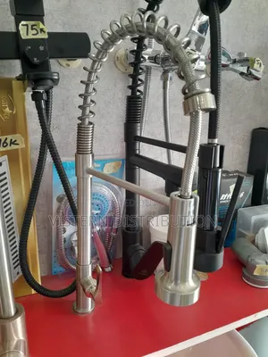 Professional Plumber