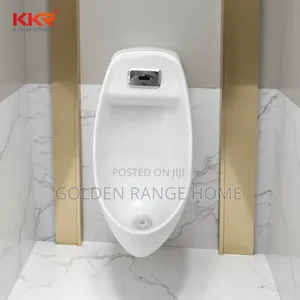Sensor Urinals Bowl