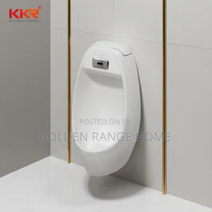 Sensor Urinals Bowl