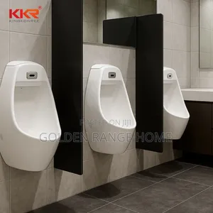 Automatic Flush Urinals Bowl