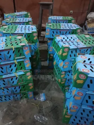 Chi Pullets And Briolers