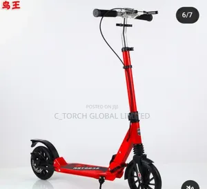 Renegade Folding Kick Scooter