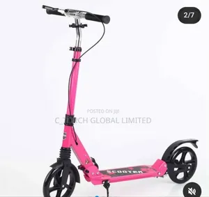 Renegade Folding Kick Scooter