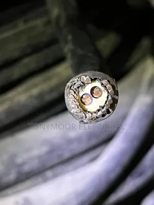 2.5mm 2core Armoured Cable